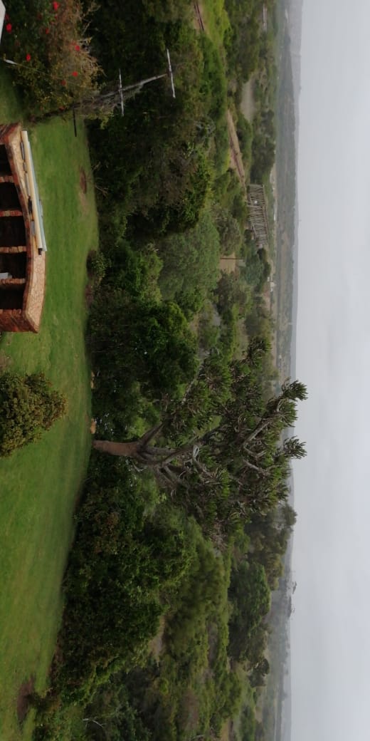 Commercial Property for Sale in Kabeljauws Eastern Cape